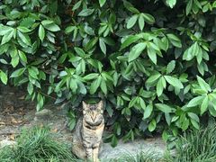 -上海市龙华烈士陵园