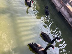 -无锡动物园·太湖欢乐园