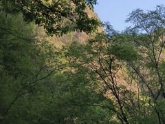 -北京上方山国家森林公园
