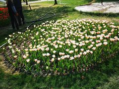 -长春公园(普阳街道)