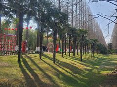 -黄海国家森林公园