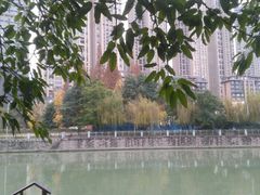 -成都市活水公园