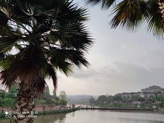 -枫香湖儿童公园