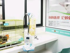 -爱侣·安琦尔宠物医院·中兽医针灸·心内科·狂犬免疫点(宝山区院)