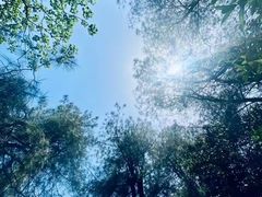 -綦江古剑山
