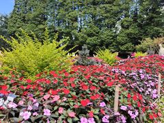 -庐山风景区花径公园