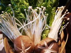 -同仁四季椰子鸡(海岸城天利店)