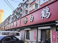 -白鹤大冷面
