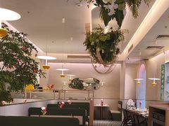 -Aqua Oasis 水天堂(太湖中心mall店)