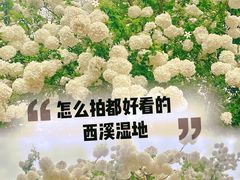 -西溪国家湿地公园