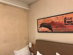 -北京望京华彩智选假日酒店
