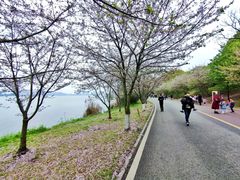 -团城山公园