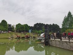 -铁山坪森林公园