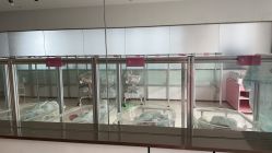 -金鹰国际月子中心(新街口店)