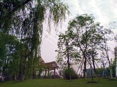 -桤木河湿地公园