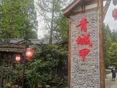 -青城甲(青城山店)