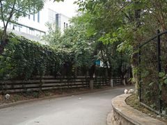-北京大学燕东园