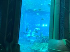 -亚龙湾海底世界