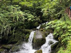 -瓦屋山景区