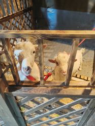 -酷嗒动物文化乐园(cutezoo西溪乐天城店)