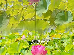 -西安博物院