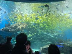 -海合安武汉极地海洋公园