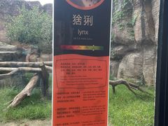 -杭州野生动物世界