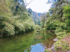 -龙苍沟森林公园