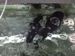-海尚韵舍海景餐厅(朱家尖店)