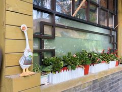 -三忘湖 SWANSEEN(柳荫公园店)