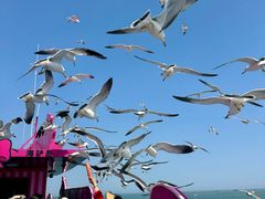 -海驴岛(荣成市)