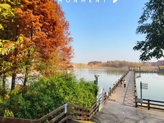 -溱湖国家湿地公园