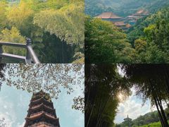 -天下玉苑