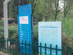 -西安市长乐公园