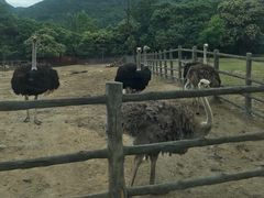 -西安秦岭野生动物园