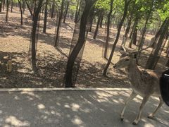 -秦皇岛野生动物园