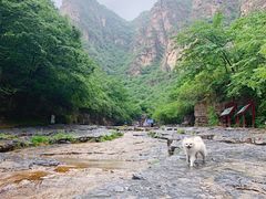 -孤山寨风景区