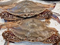-圣罗巴海鲜自助(黑金店)