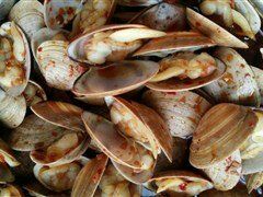 -杨记玉喜龙虾肥蛤(文东店)