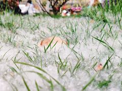 -莲湖公园