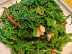 炝拌灰灰菜-纳家楼·地道陕菜(劳动路店)
