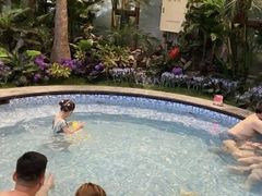 -大连金石滩绿发温泉假日酒店