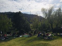 -桃花岭景区