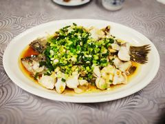 香葱淋鲈鱼-粤·向群饭店(龙津东路总店)