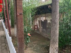 -草根堂农场