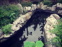 -石塘人家