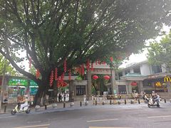 -荔湾湖公园