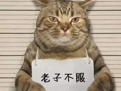 -来菜·湖北头牌藕汤(武商MALL众圆店)