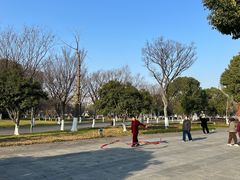 -映月湖中央公园