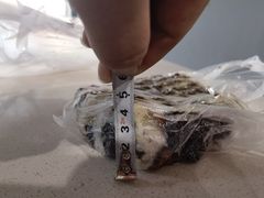 -芝兰斋糕干店(平山道店)